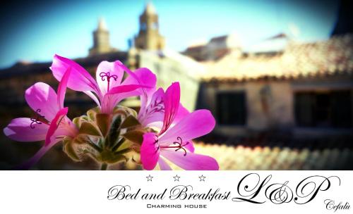 Фотография мини отеля Bed and Breakfast L&P