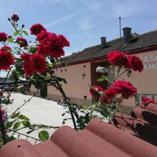 Фотографии гостевого дома
Casa Bianca