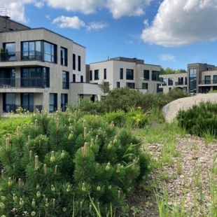 Фотография квартиры Апартаменты Охта Парк KraSKI