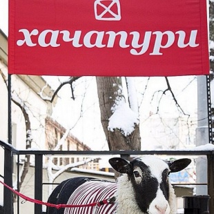 Фотография кафе Хачапури