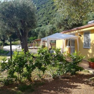 Фотография гостевого дома Casa tra mare e oliveti