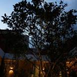 Фотография мини отеля Casa Tuna