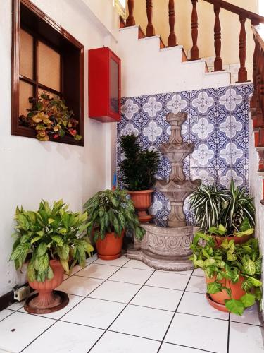 Фотография гостиницы Hotel Metropolitano