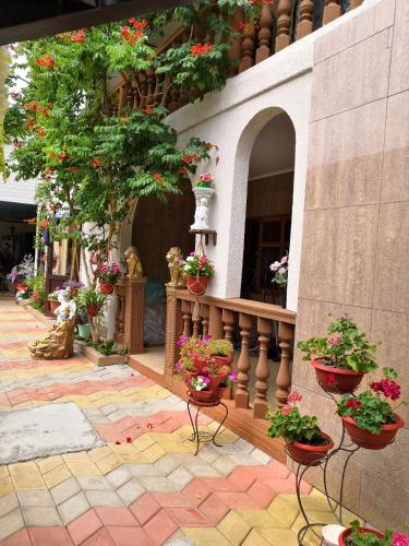 Фотография гостевого дома Южная Сказка