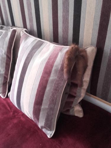 Фотография гостевого дома Aux Couleurs de Neuvy