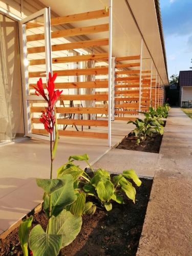 Фотографии базы отдыха
Буджак