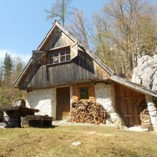 Фотографии гостевого дома 
            Cottage Trenta
