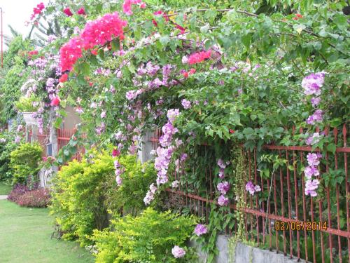 Фотография мини отеля Villa 301 B&B