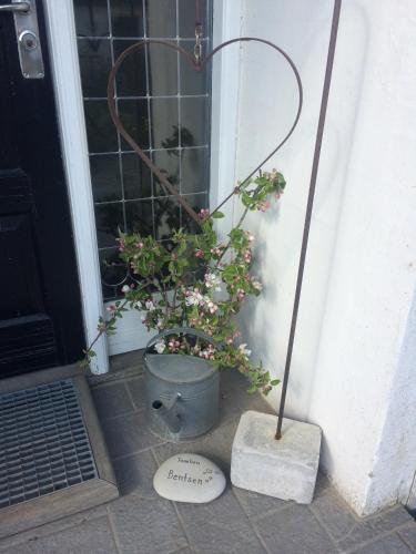 Фотография мини отеля Aasesminde