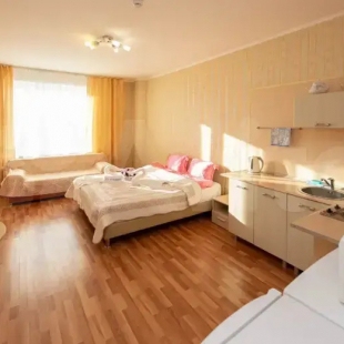 Фотография квартиры Квартира 1 комнатная квартира студия улица 50лет ВЛКСМ 13/3