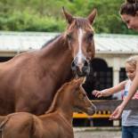 Фотография гостевого дома Ranch Black Horse