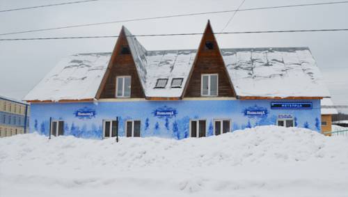 Фотография гостиницы Метелица