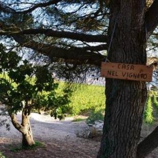 Фотографии гостевого дома 
            Casa nel Vigneto Erice