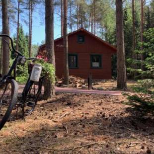 Фотографии гостевого дома
Waldhaus Hilde