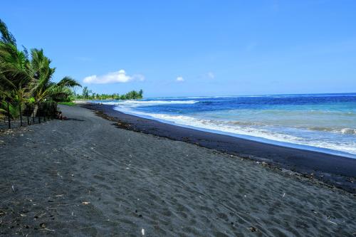 Фотографии гостевого дома 
            TAHITI - Taharuu Houses Surf & Beach