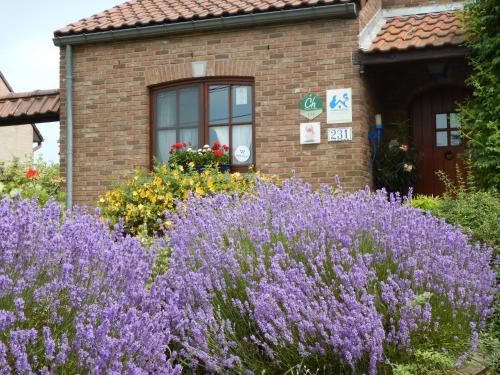 Фотография мини отеля B&B La Chrysalide