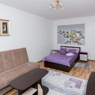 Фотография квартиры Апартаменты на Емельянова 35А (4)