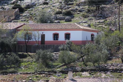 Фотография гостевого дома El Almendro de Fuentes Nuevas