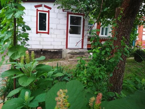 Фотография гостевого дома ДіВо