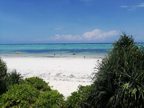 Фотография гостиницы Marafiki Beach Hotel & SPA