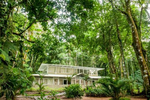 Фотография гостиницы Jaguar Inn Bungalows