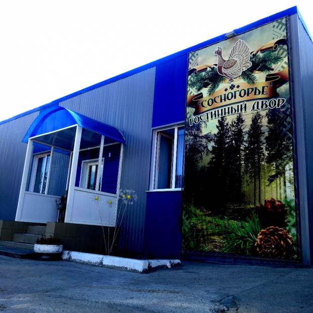 Фотографии гостиницы 
            Сосногорье