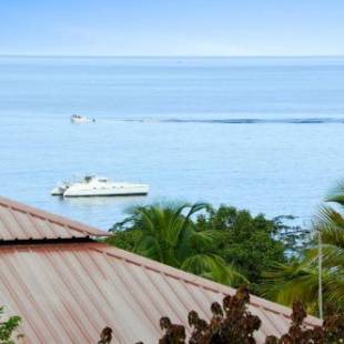Фотографии гостевого дома 
            Bungalow de 2 chambres a Bouillante a 100 m de la plage avec vue sur la mer jardin et wifi