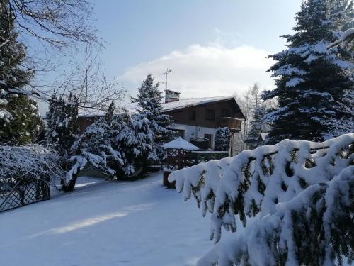 Фотография мини отеля Willa Panorama Medical Spa