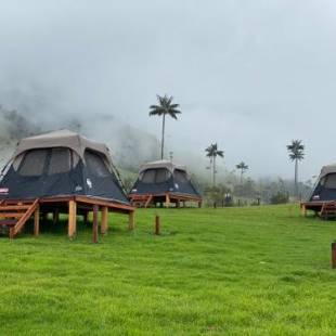 Фотографии базы отдыха 
            Refugio Nidos del Condor Cocora