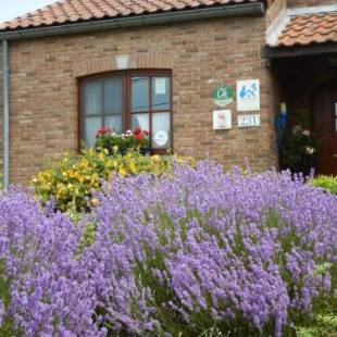 Фотографии мини отеля 
            B&B La Chrysalide