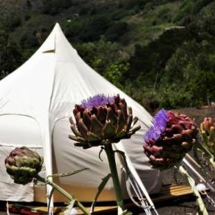 Фотографии базы отдыха
Free Canari - Los Alamos 8