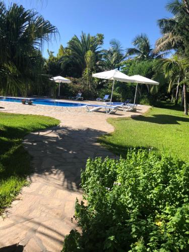 Фотография гостевого дома Tijarafe 1