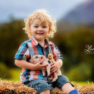 Фотографии базы отдыха
Blackwattle Farm