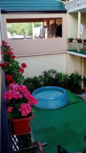 Фотографии гостевого дома
У Ларисы