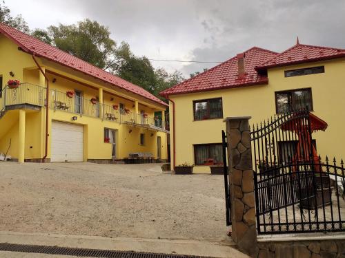 Фотография гостевого дома Pensiunea Daniela