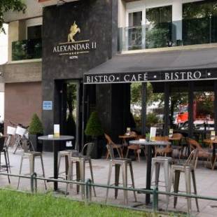 Фотографии гостиницы
Hotel Alexandar II