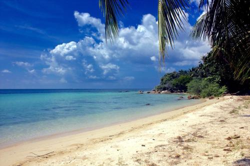 Фотография гостевого дома The Green Palm