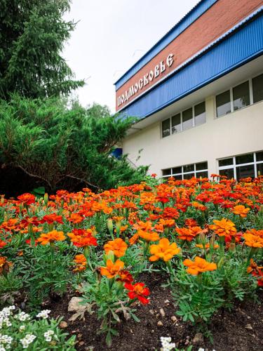 Фотографии санатория
Подмосковье ФНС России