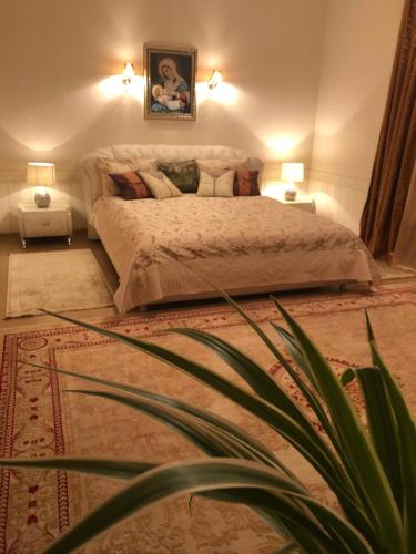 Фотография гостевого дома УЮТНЫЙ ДОМ ДЛЯ ОТДЫХА, город-Бендеры ,Приднестровье