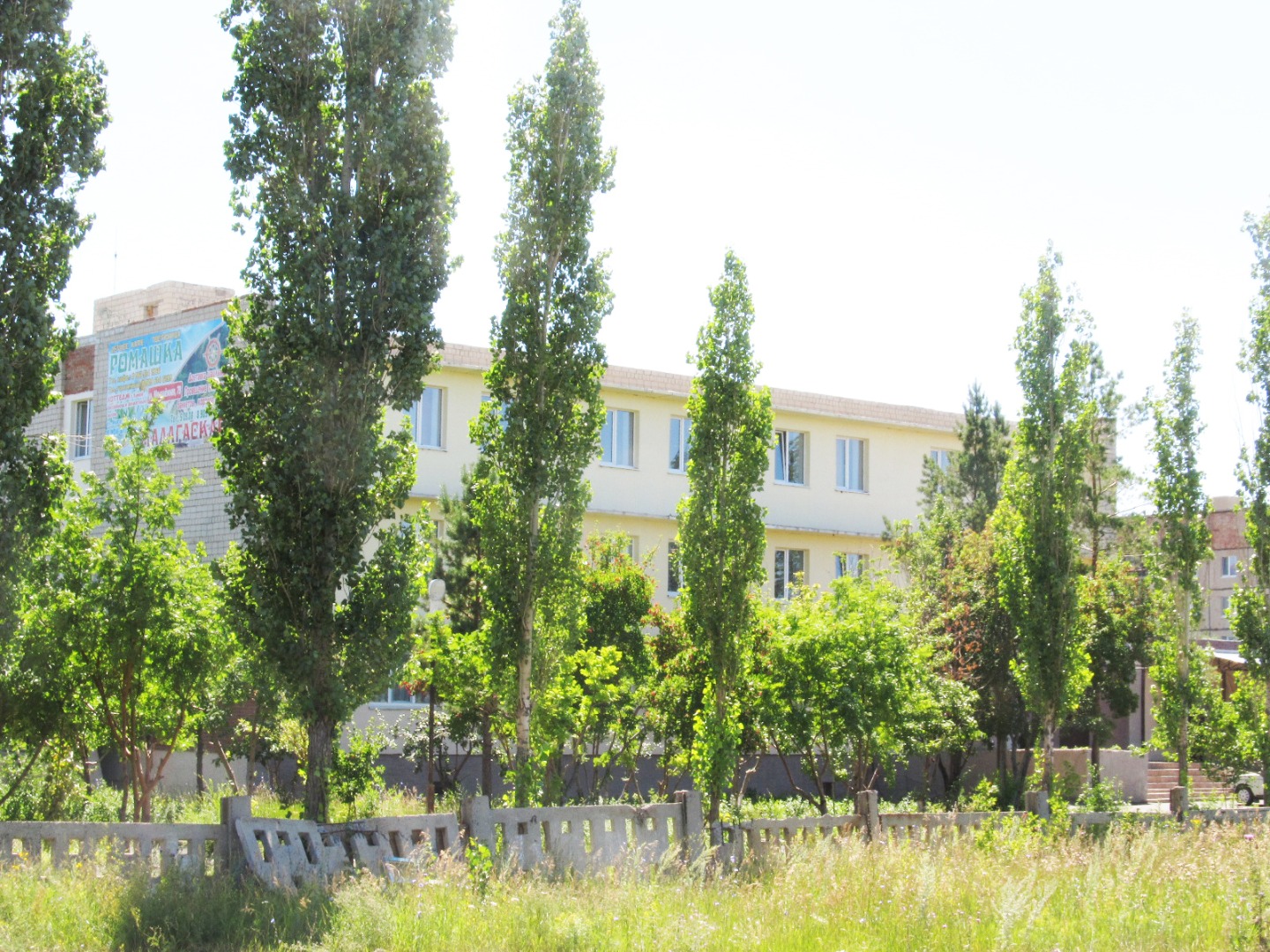 Фотография гостиницы Ромашка