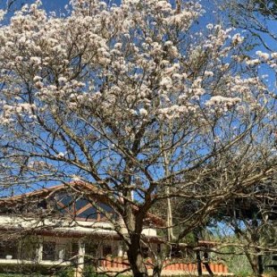 Фотография мини отеля Pousada Gardenian