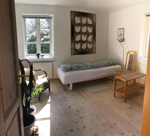 Фотография мини отеля Tranum Lys og Glas