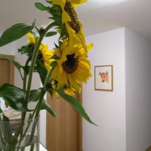 Фотографии гостевого дома 
            A Fonda do Norte