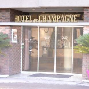 Фотографии гостиницы 
            Hotel de Champagne