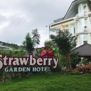 Фотографии гостиницы
Dream Flower Hotel