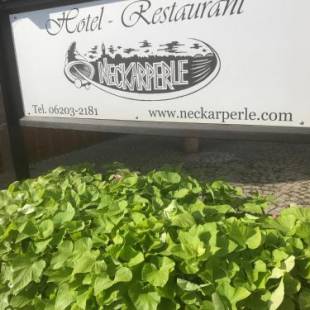 Фотографии гостевого дома
Hotel-Restaurant Neckarperle