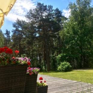 Фотографии мини отеля
Verevi Motel