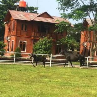 Фотографии гостиницы 
            APM Equestrian Resort