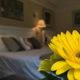 Фотографии мини отеля
Cornell Hotel de France