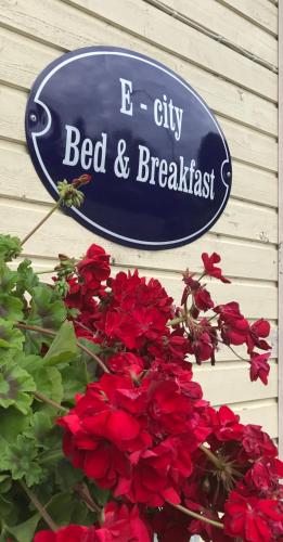 Фотография мини отеля E-City B&B